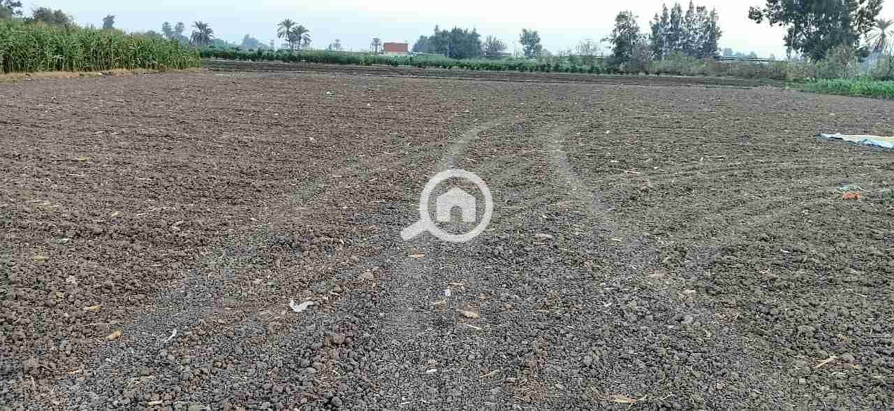 13 IMG-20201126-WA0011. jpg