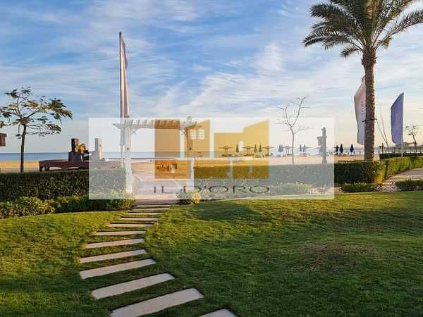 ZCn8HX1jtFlQBtqWC6mNny7uI2sLkED0BMXUHMXb. jpeg