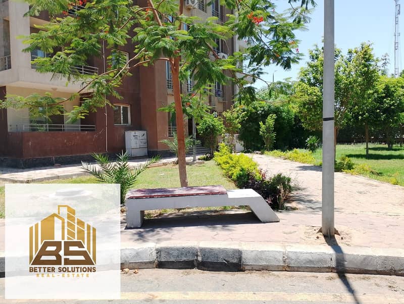 6 ff398354-7489-4bae-aa21-44f598a4a007. jpg