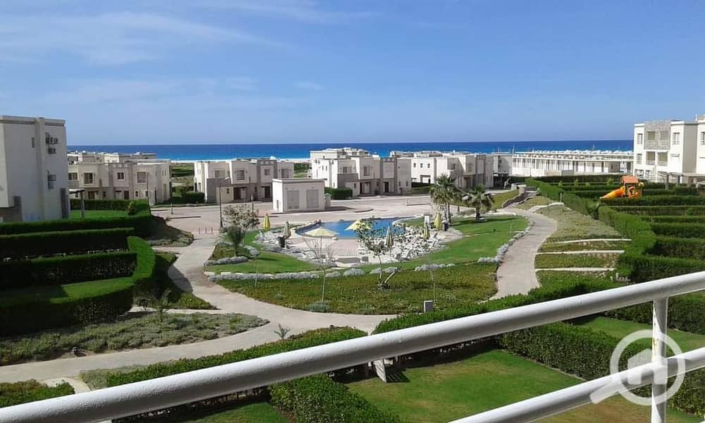 16 WhatsApp Image 2024-08-05 at 12.33. 46 PM. jpeg