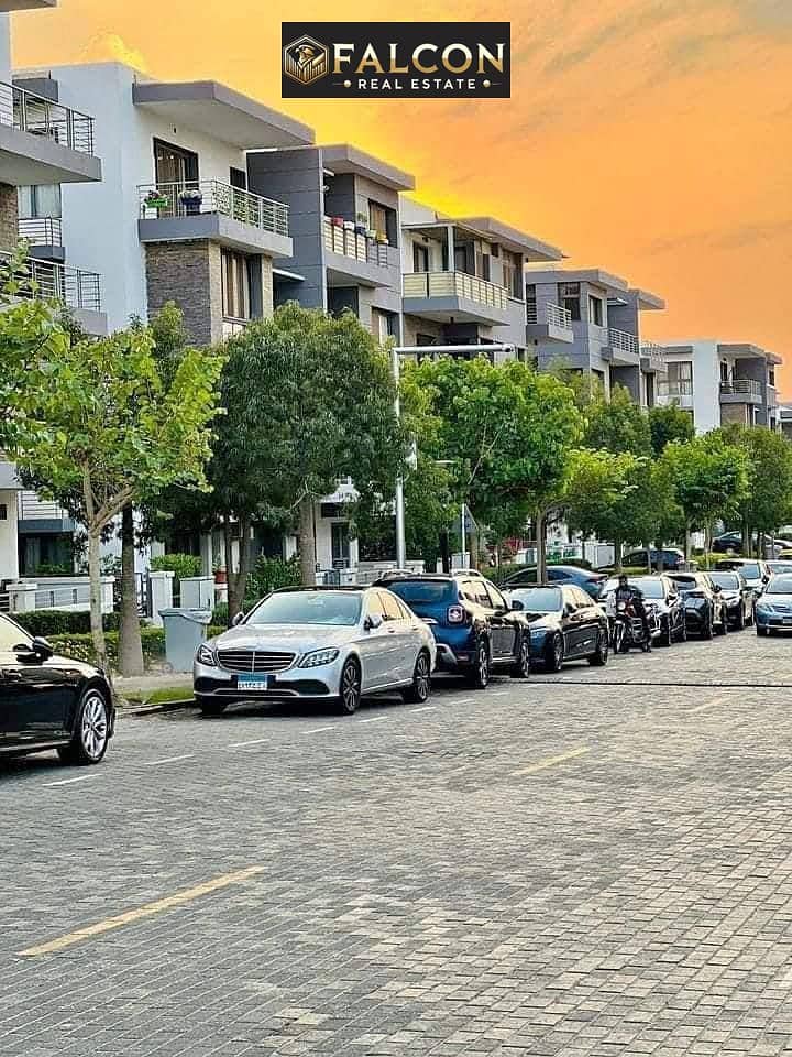 8 5960645554755191247. jpg