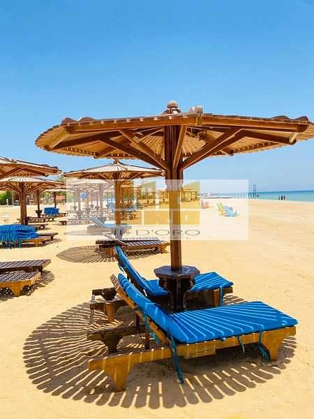 7 rjuUxsmBfQzyk05up6y7zJANWwVmNPDz7x7RKX4N. jpeg