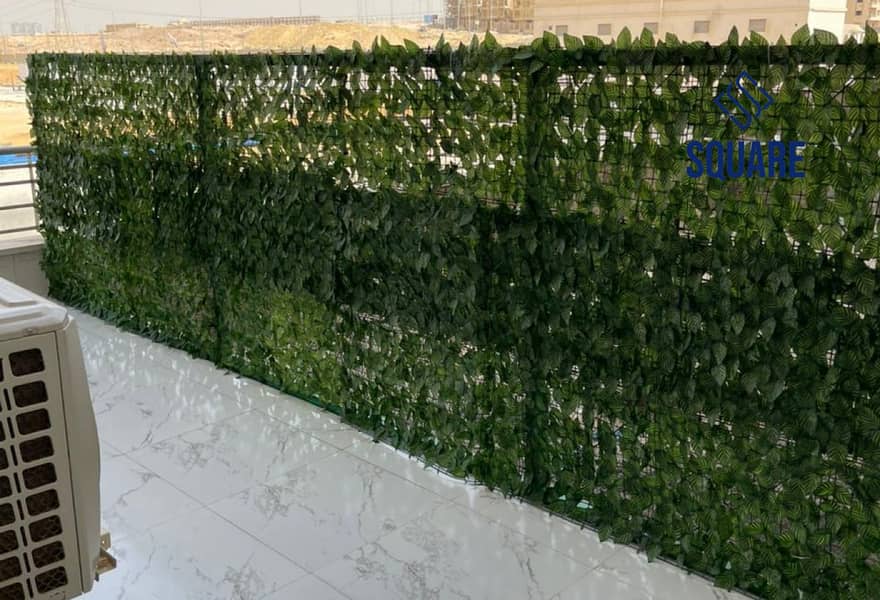 8 f27cf8d2-76e0-4c2c-afd9-deabc3be453b. jpg