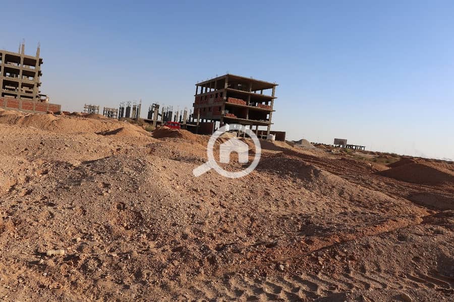 3 WhatsApp Image 2025-11-27 at 11.42. 53_9dd0103b. jpg