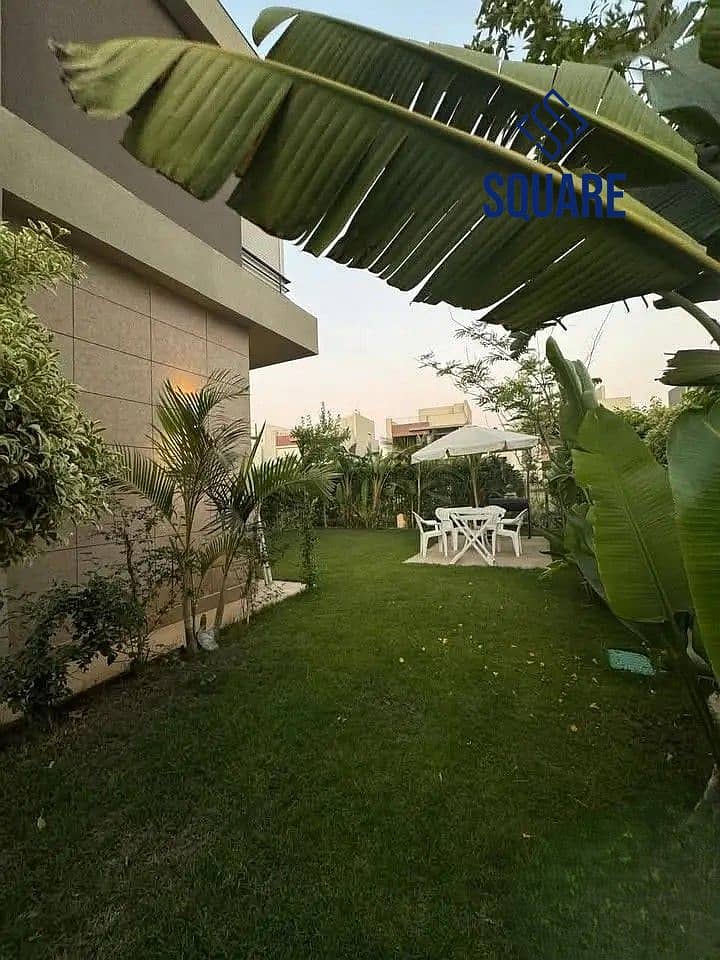 8 29367718-800x600. jpg