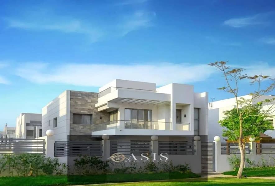 6 8252730-555ado. jpg