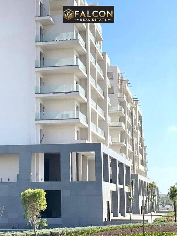 2 0b0f5d56-cbb1-4403-9772-c1339c7cb0e5. jpg