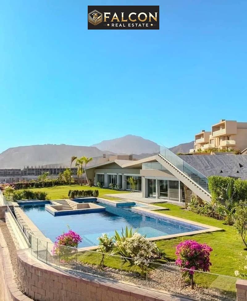 11 387253ec-7273-4983-8fd6-918f6ebaa115. jpeg