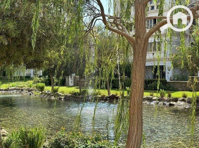 4 IMG-20240512-WA0150. jpg