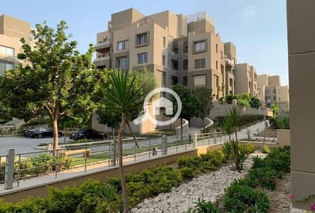 شقة 2 غرفة نوم للايجار في القاهرة الجديدة، القاهرة - IMG_4764. JPG شقة 2 غرفة نوم للايجار في القاهرة الجديدة، القاهرة - IMG_4764. JPG