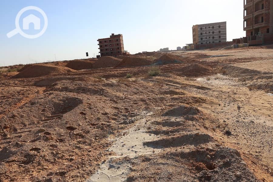 WhatsApp Image 2025-11-27 at 11.42. 57_fec2e87d. jpg WhatsApp Image 2025-11-27 at 11.42. 57_fec2e87d. jpg