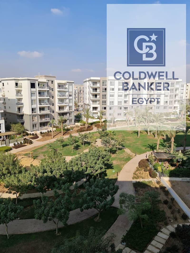 11 14cfd343-5fa6-4a1f-ac90-31fec94aa8b9. jpeg