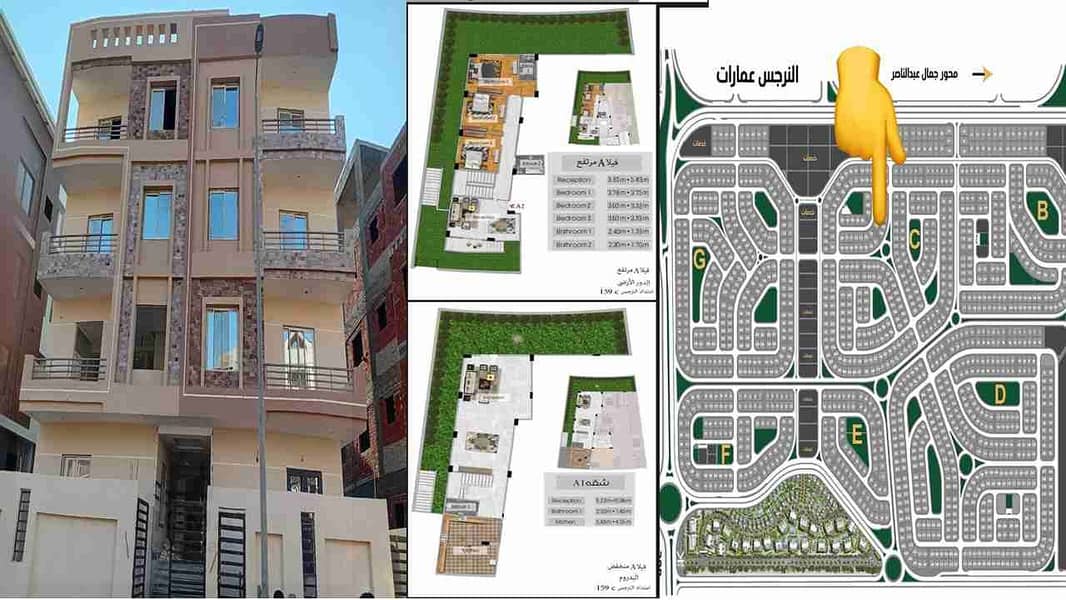 1000343158. jpg 1000343158. jpg