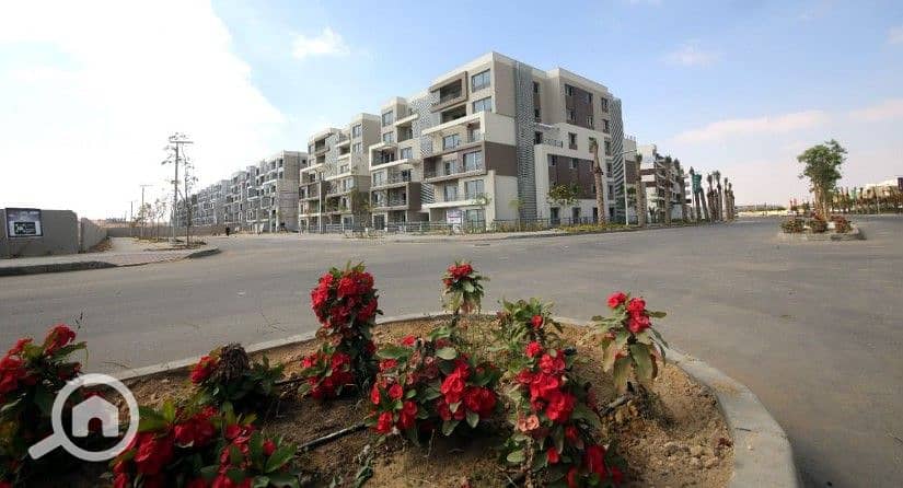 9 Screenshot 2025-09-29 142958. jpg