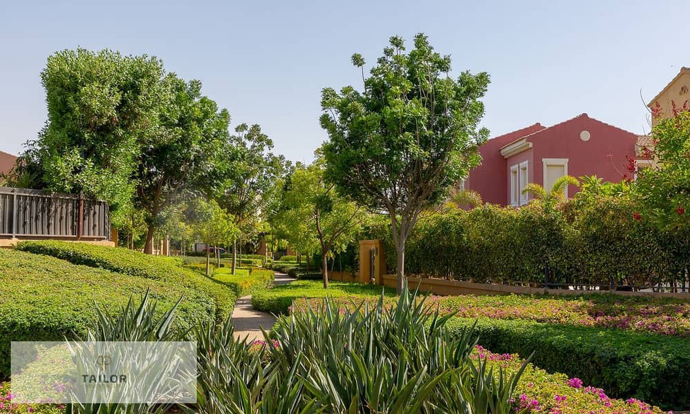 3 5adcefa5-dd8d-44f9-a972-9735bca51f0c. JPG