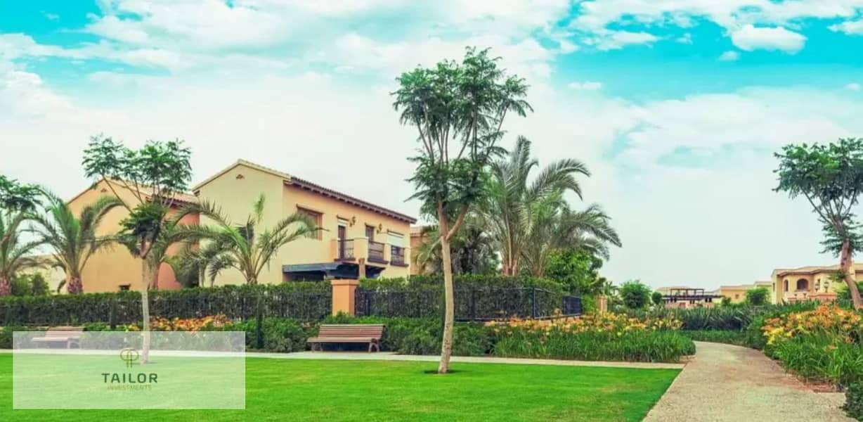 4 20e5fc82-efd4-40b1-8482-9e0cc00e86a0. JPG