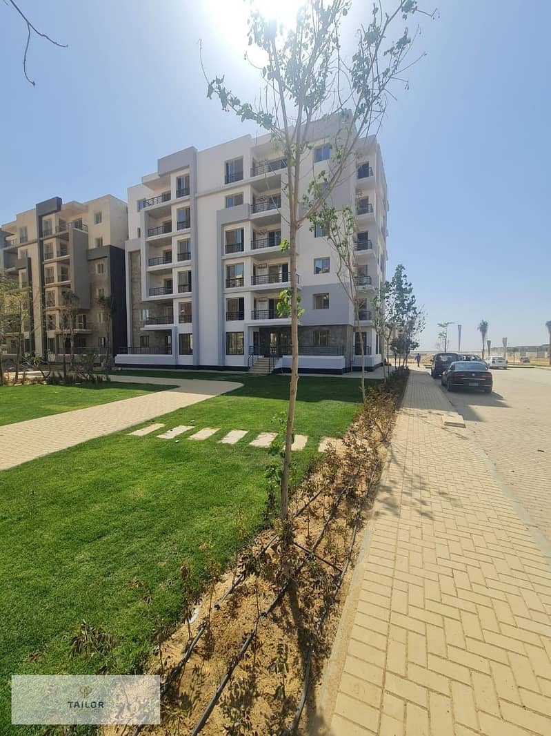 4 3558399a-bf4a-4ff5-8f62-4384db01c512. JPG