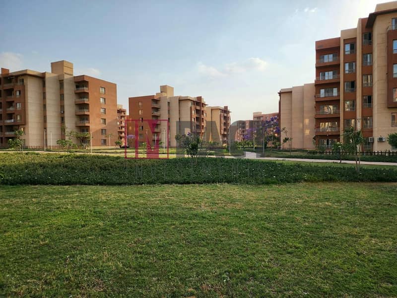 1e96ab32-1011-4691-9bd9-2ab456de1afd. jpg