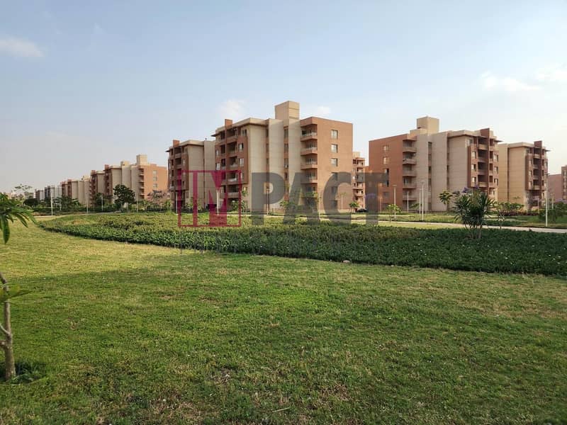 6 8aae6bf0-fff1-4814-ac55-d9e885fe6974. jpg