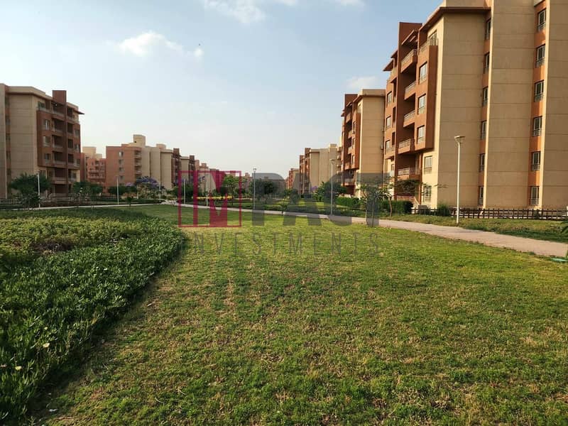 9 b62c5455-0357-42d4-8f04-962df1657877. jpg