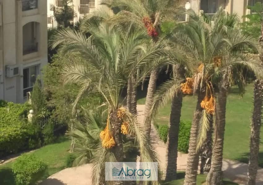 6 7725757-45d85o. jpg