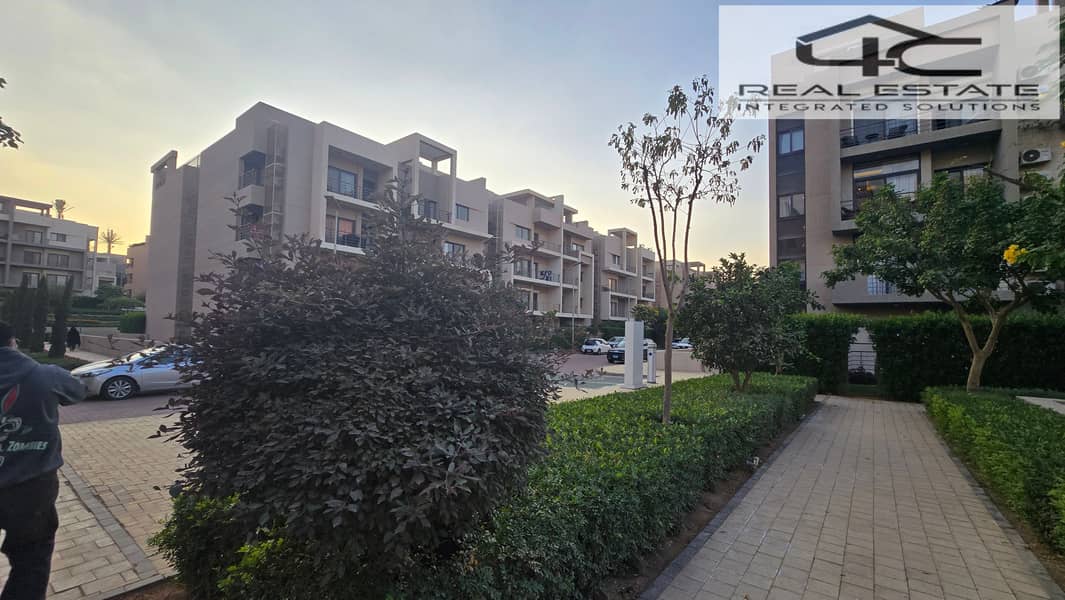 10 20251117_161729. jpg