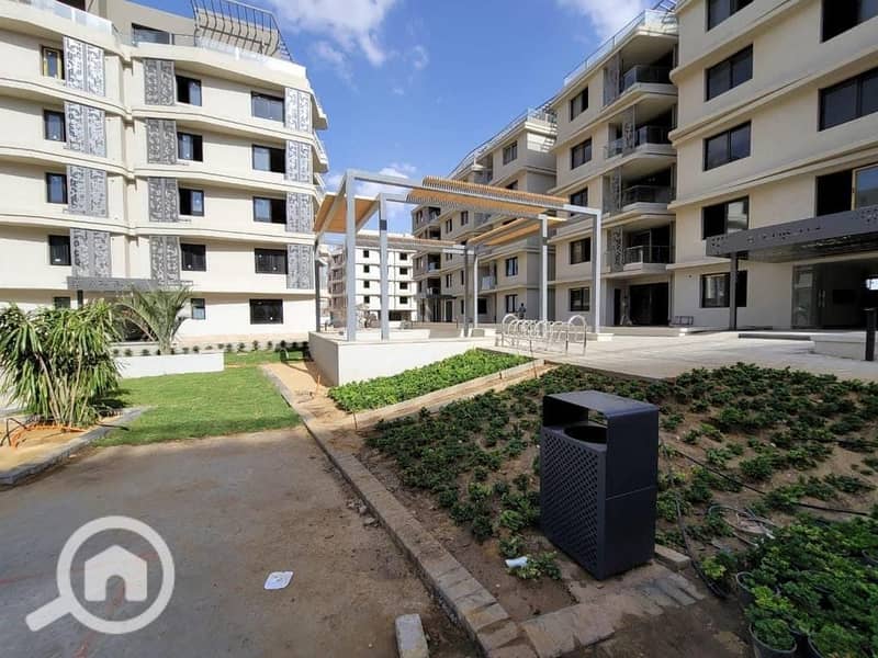 6 بادية badya (8). jpg