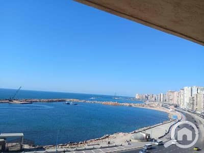 شقة 3 غرف نوم للبيع في لوران، الإسكندرية - 4eebfe40-a012-4608-aca2-7ef53ef1c275. jpg