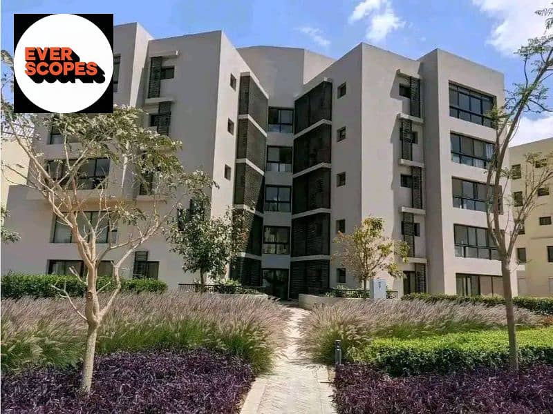 15 565156834_122135986424934569_8163470790308941939_n. jpg