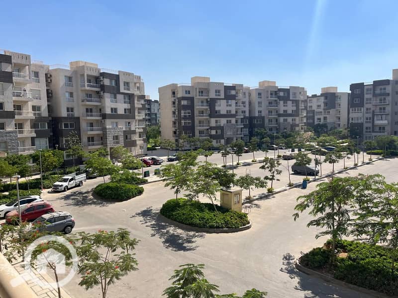 6 cf2976cd-2b8e-42be-921b-122ae98ee84c (1). jpg