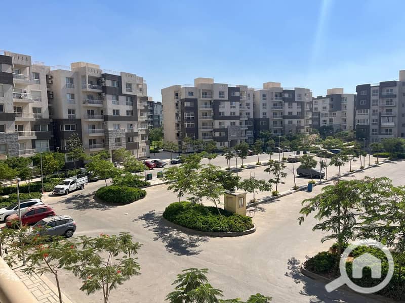 7 cf2976cd-2b8e-42be-921b-122ae98ee84c (2). jpg