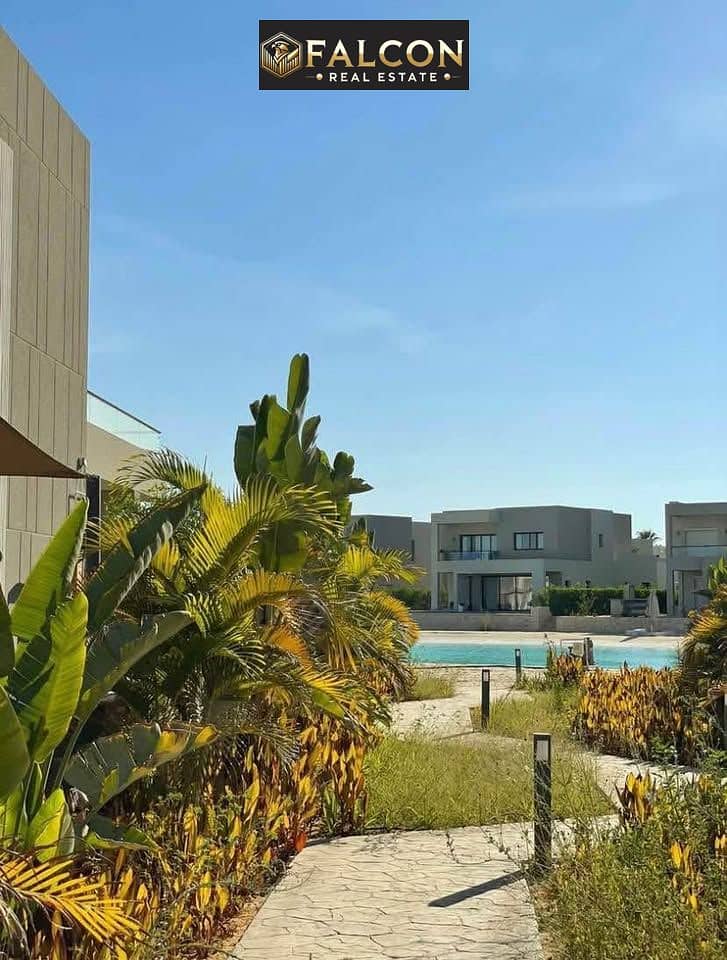 7 488931908_122260443662189765_4712798879216318653_n. jpg