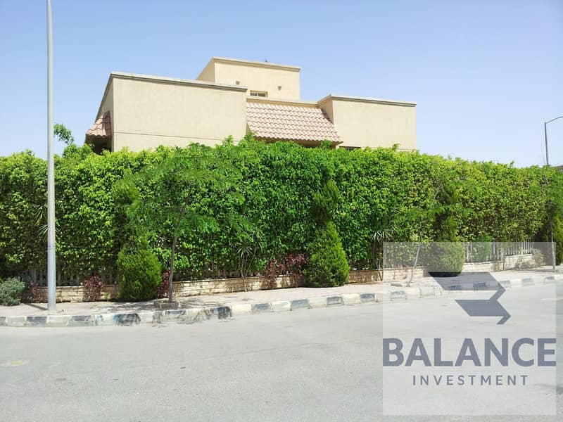 2 ce1fb141-ffe3-4cd4-beec-416b0338273d. jpg