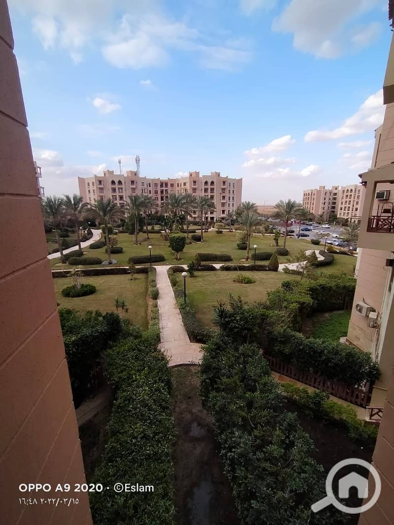 10 d4674119-a0ee-449d-8044-70a49342fbe0. jpeg