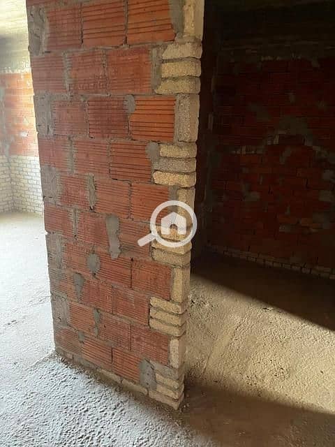 4 a8174220-b15e-43d5-8965-be5bb69b22dd. jfif. jpg