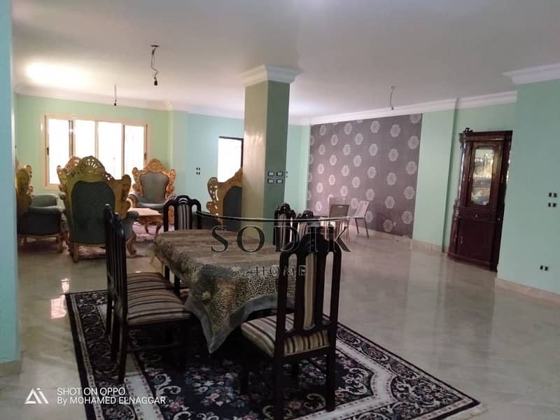 5 IMG-20250125-WA0053. jpg