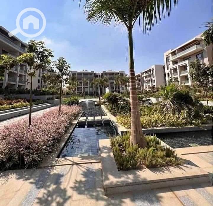 12 WhatsApp Image 2025-03-01 at 2.30. 52 PM (3). jpeg