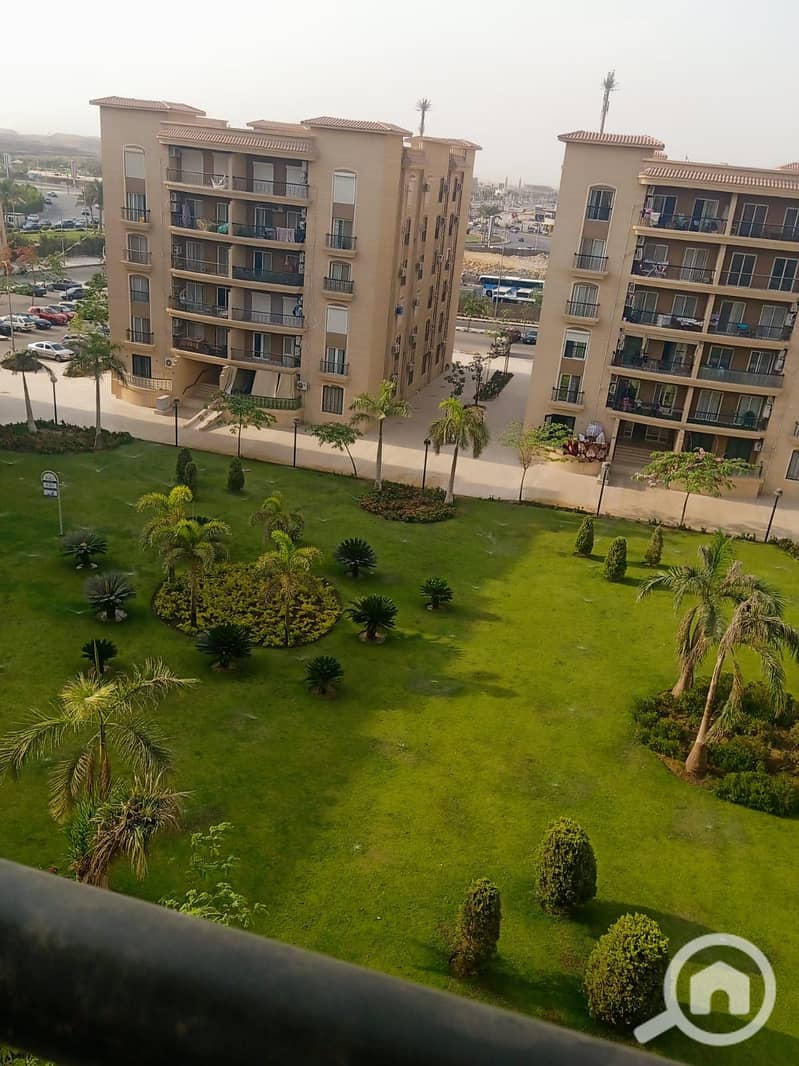 11 3b28cf21-0367-4054-a43f-33a1750dfce5. jpeg