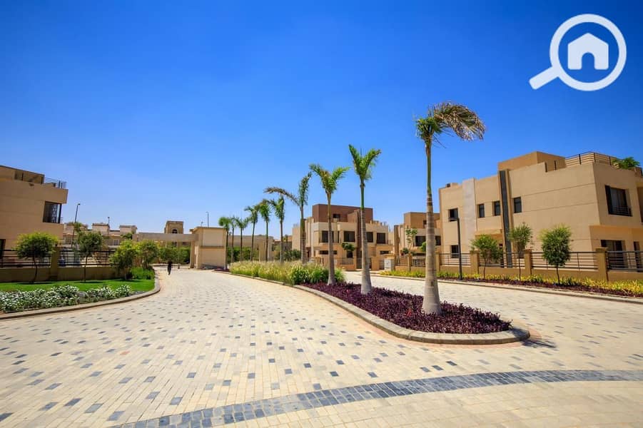 5 ALMA Live Pictures7. jpg