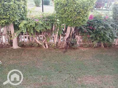 2 Bedroom Flat for Rent in New Cairo, Cairo - IMG-20251203-WA0122. jpg