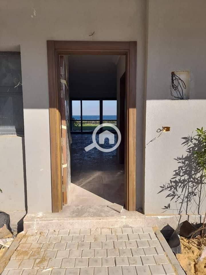 3 photo_2025-01-12_22-12-35. jpg