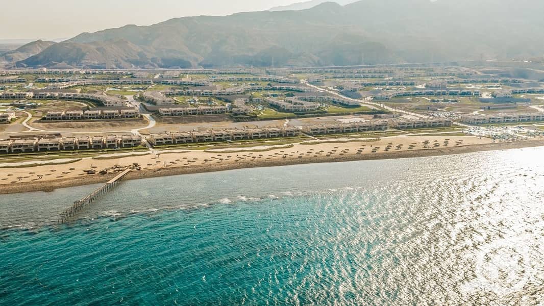 10 photo_2025-03-24_22-12-06. jpg