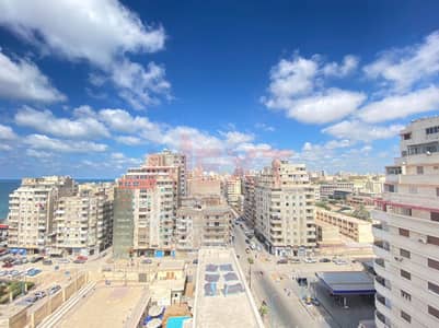 فلیٹ 3 غرف نوم للايجار في شاطبي، الإسكندرية - WhatsApp Image 2025-12-03 at 2.38. 14 PM (2). jpg