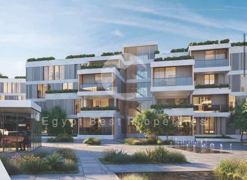 IMG-20240213-WA0224. jpg