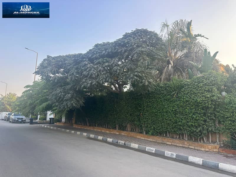 15 4911a7ec-f3ff-476e-91c6-bf6c02de84ab. jpg