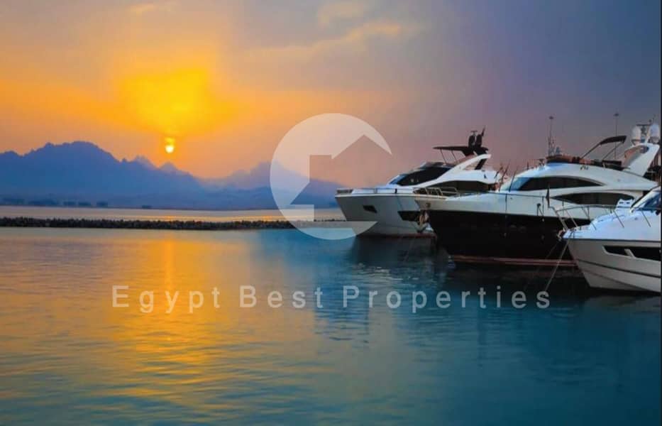 10 WhatsApp Image 2025-11-27 at 12.47. 09_4dfb44b6. jpg