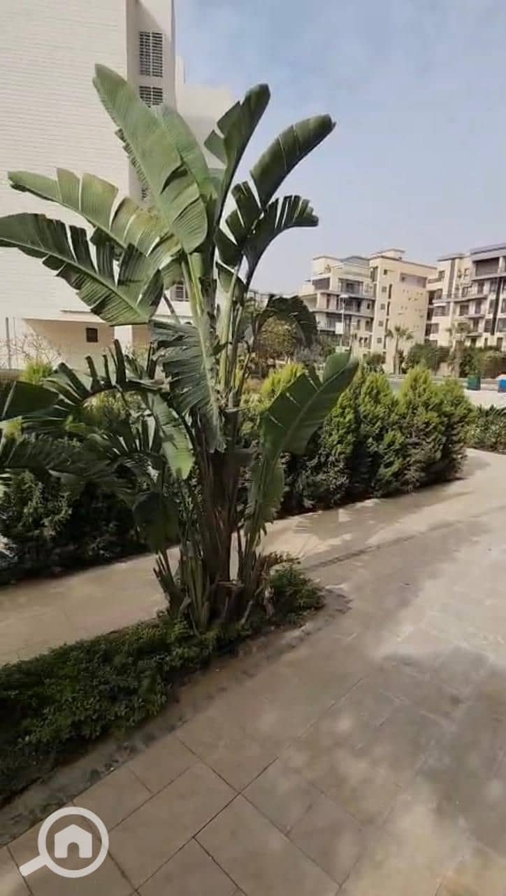 2 a8fd2fd4-0934-47dc-b4de-067c134428b2. jpeg