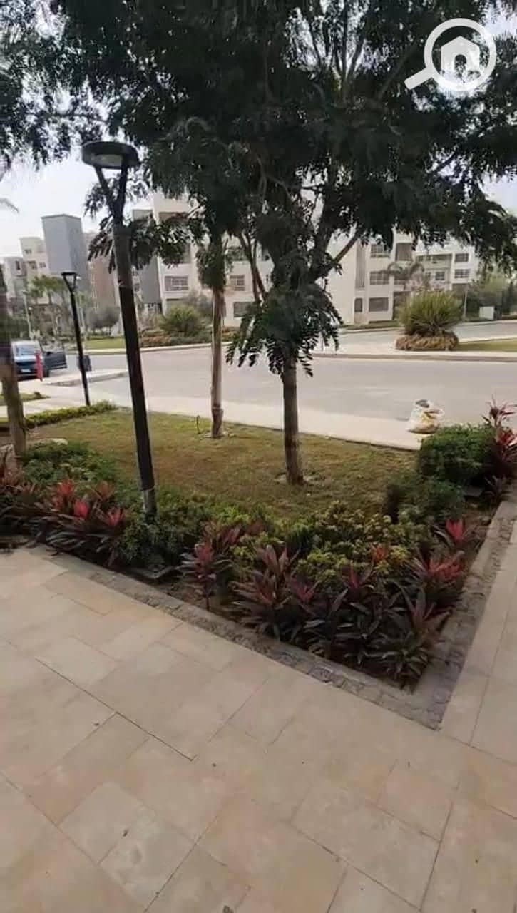 8 7744163e-cf2b-44dd-b8ac-f3901e1aaf4e. jpeg