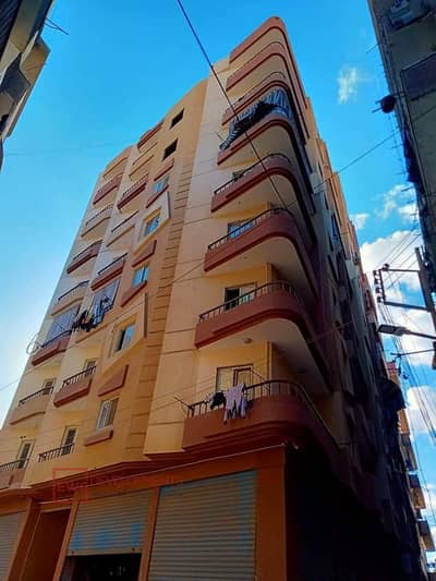 شقة 3 غرف نوم للبيع في شبين الكوم، المنوفية - 297043918_363505399309922_785989678523566065_n. jpg