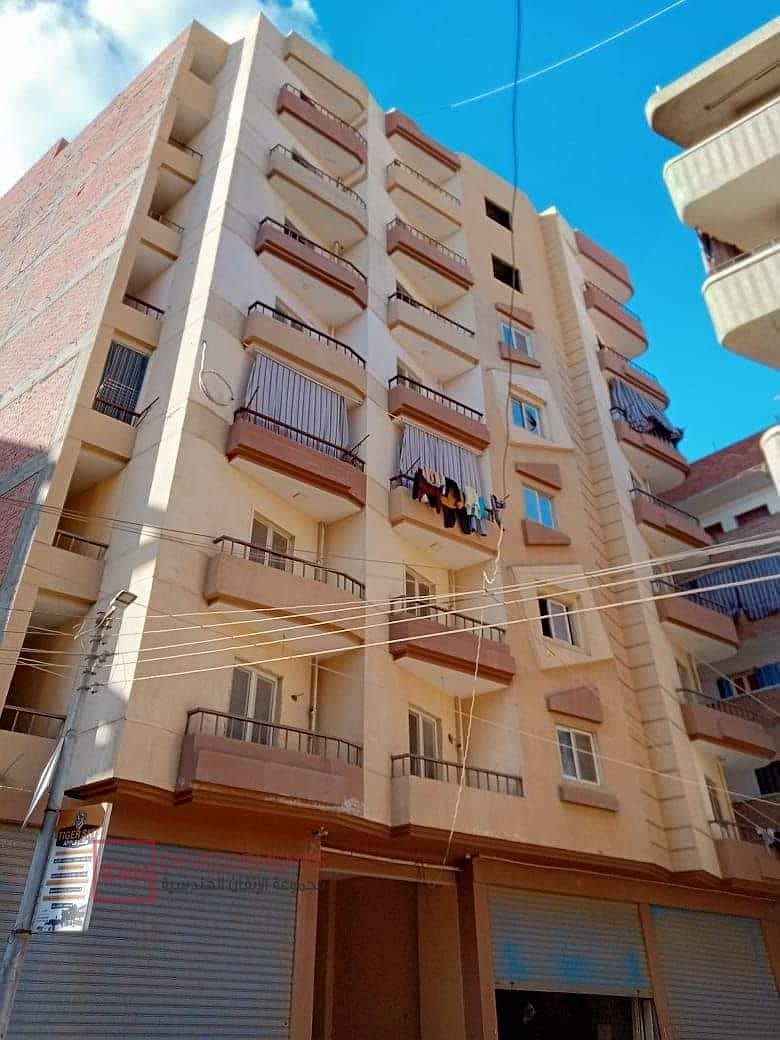 2 297489941_363505629309899_3421758900849796151_n. jpg